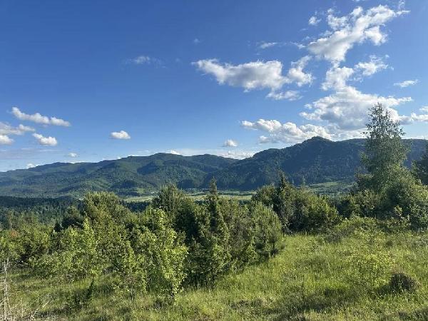 земля продам село Рибник, фото 4 з 4